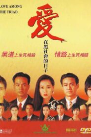 Love Among the Triad 1993 one on netflix