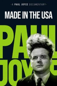 Made in the USA 1993 one on netflix