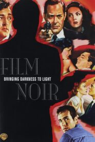 Film Noir: Bringing Darkness to Light 2006 one on netflix