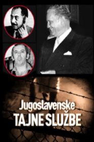 Yugoslav Secret Services 2012 one on netflix