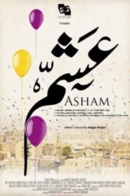 Asham 2012 one on netflix