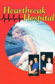 Heartbreak Hospital 2002 one on netflix