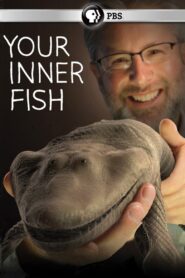 Your Inner Fish 2014 one on netflix