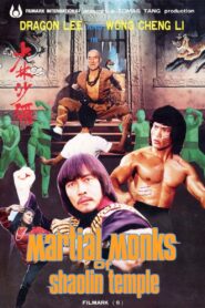 Martial Monks of Shaolin Temple 1983 one on netflix