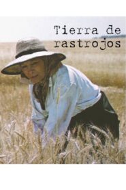 Tierra de rastrojos 1980 one on netflix