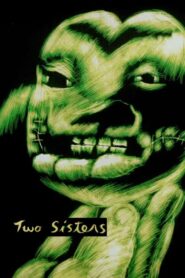 Two Sisters 1991 one on netflix