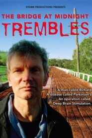 The Bridge at Midnight Trembles 2006 one on netflix