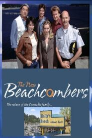 The New Beachcombers 2002 one on netflix