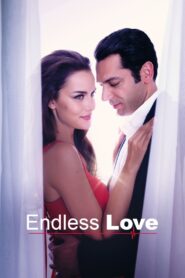 Endless Love 2017 one on netflix