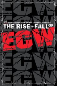 WWE: The Rise + Fall of ECW 2004 one on netflix