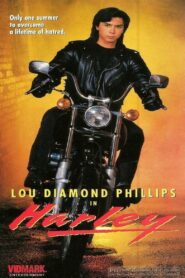 Harley 1991 one on netflix