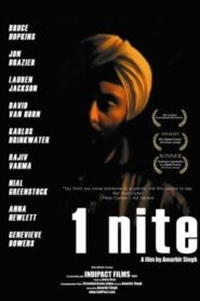 1nite 2004 one on netflix