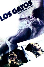 High Class Affair 1985 one on netflix