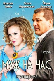 Husband for an hour 2014 one on netflix