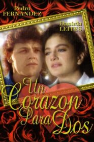 Un corazón para dos 1990 one on netflix