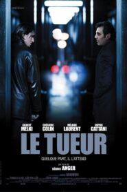 The Killer 2008 one on netflix