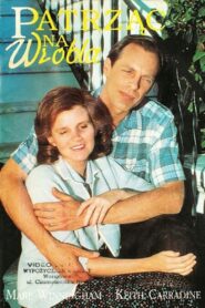 Eye on the Sparrow 1987 one on netflix