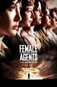 Female Agents 2008 one on netflix