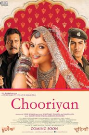 Chooriyan 2015 one on netflix