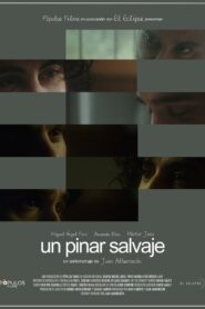 Un pinar salvaje 2023 one on netflix