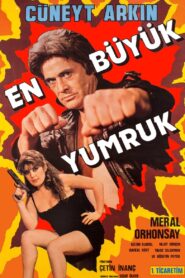 The Biggest Punch 1983 one on netflix