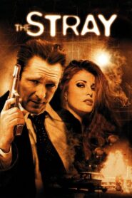 The Stray 2000 one on netflix