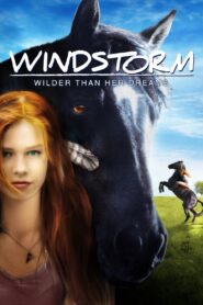 Windstorm 2013 one on netflix