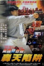 Guns of Dragon 1993 one on netflix
