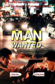 Man Wanted 1995 one on netflix