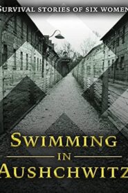 Swimming in Auschwitz 2007 one on netflix