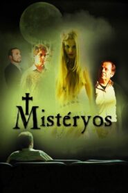 Mysteries 2008 one on netflix