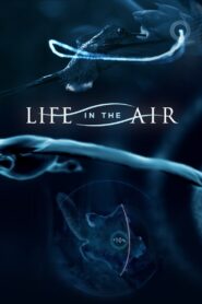 Life in the Air 2016 one on netflix