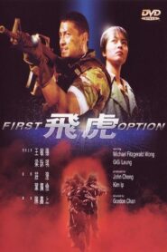 First Option 1996 one on netflix