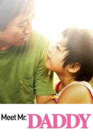 Meet Mr. Daddy 2007 one on netflix