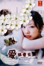 Ai wa mieru: Zenmô fûfu ni yadotta chiisana inochi 2010 one on netflix