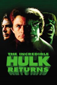 The Incredible Hulk Returns 1988 one on netflix