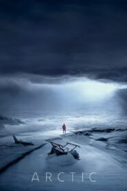 Arctic 2018 one on netflix