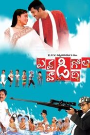 Evadi Gola Vadide 2005 one on netflix