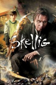 Skellig 2009 one on netflix
