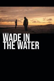 Wade in the Water 2019 one on netflix