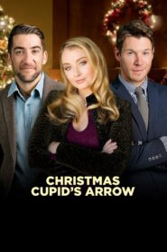 Christmas Cupid’s Arrow 2018 one on netflix