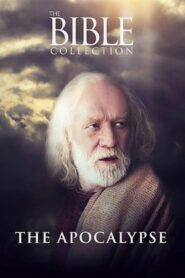 The Apocalypse 2004 one on netflix