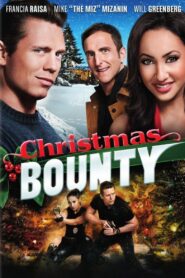 Christmas Bounty 2013 one on netflix