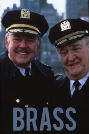 Brass 1985 one on netflix