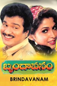 Brindavanam 1992 one on netflix