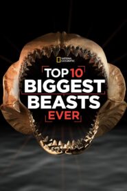 Top 10 Biggest Beasts Ever 2015 one on netflix