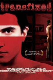 Transfixed 2001 one on netflix