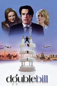 A Tale of Two Wives 2003 one on netflix