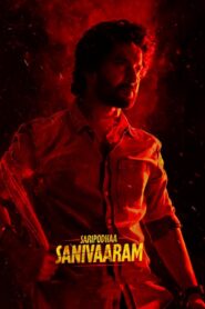 Saripodhaa Sanivaaram 2024 one on netflix