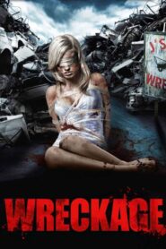 Wreckage 2010 one on netflix